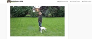 Erfahrungen-zum-Online-Hundetraining-von-Johanna Esser.jpg