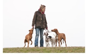Johanna-Esser-Online-Hundetraining-Erfahrungsbericht